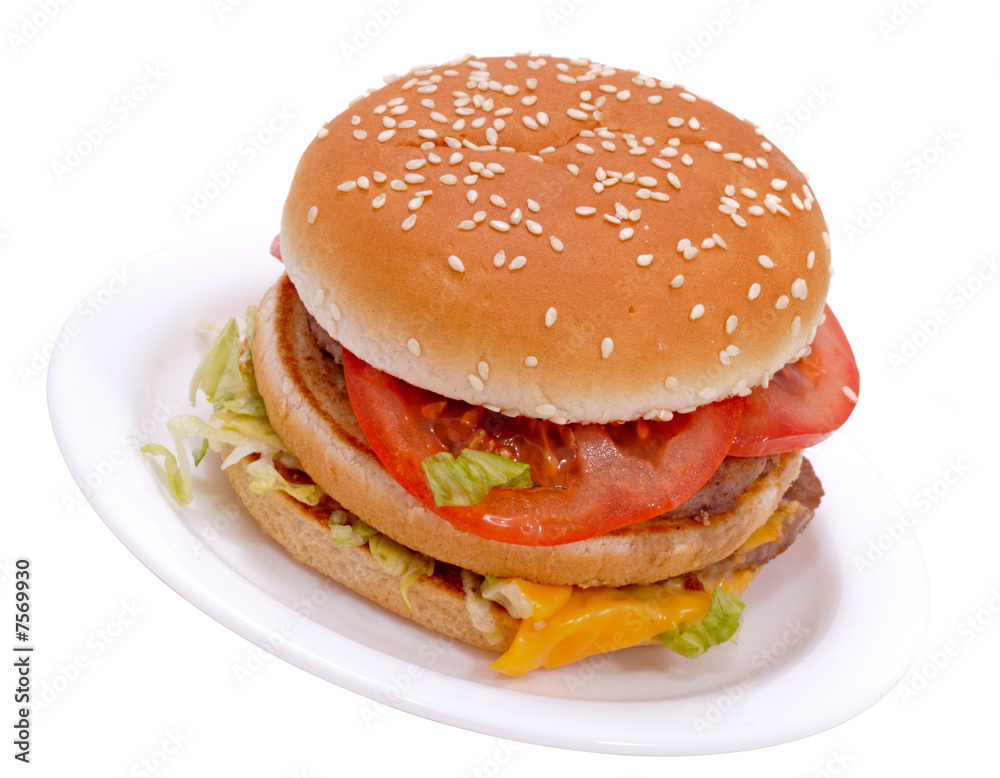 Delicious juicy cheeseburger/hamburger