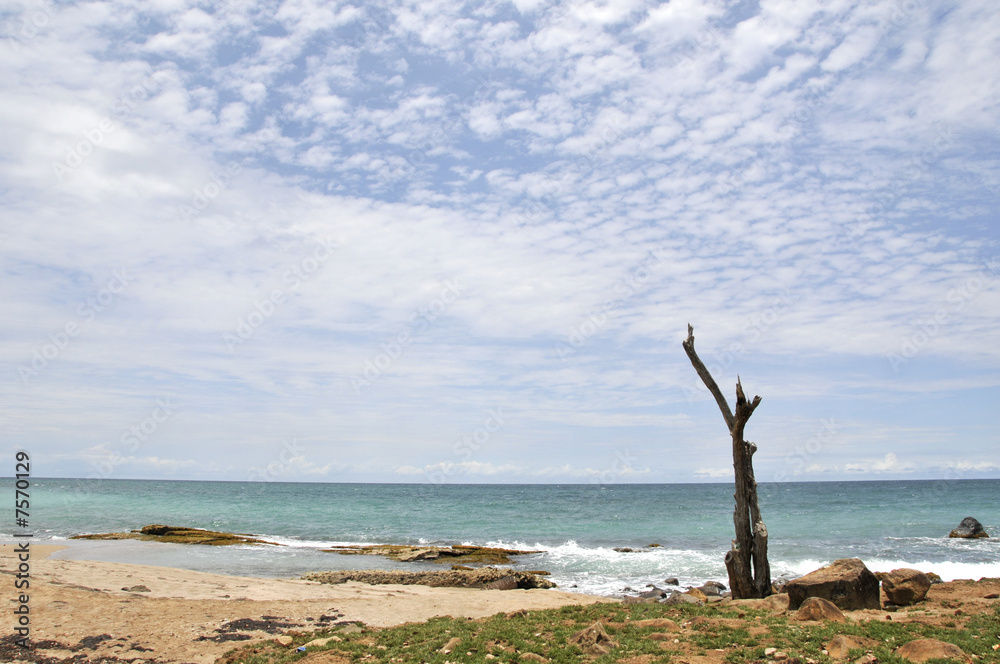 côte caribéenne