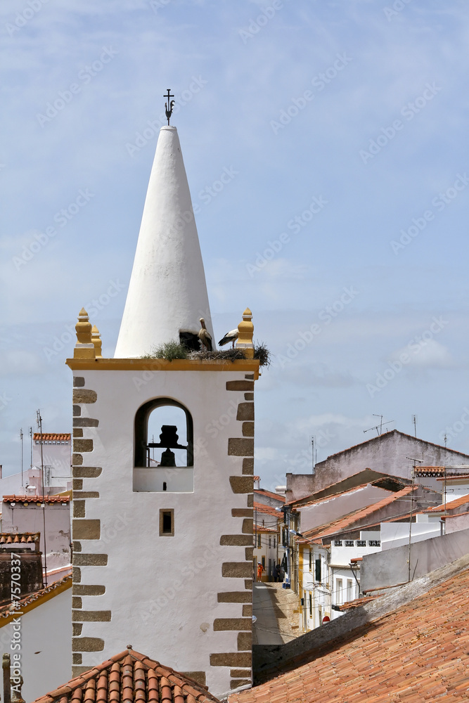 Storks in top of roof