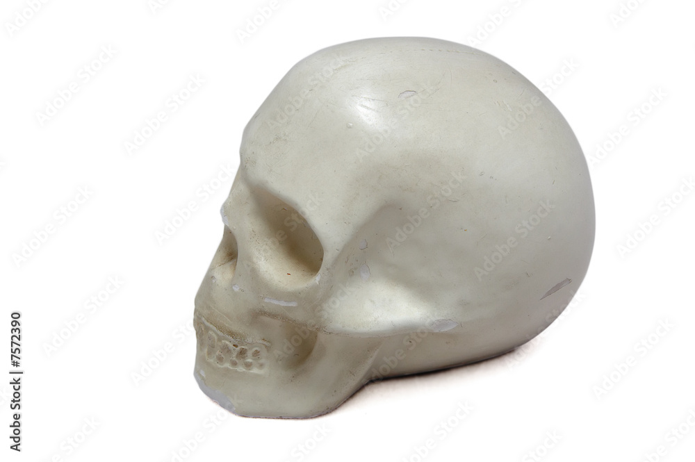 Fototapeta premium plaster skull isolated over white