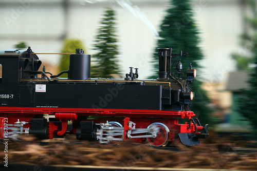 Lokomotive in voller Fahrt photo