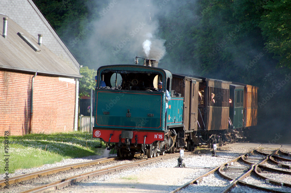 Obraz premium Train à vapeur