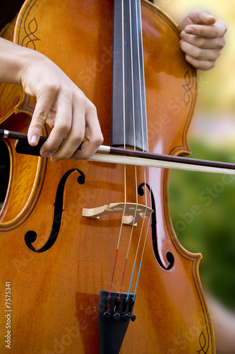 Cello photo