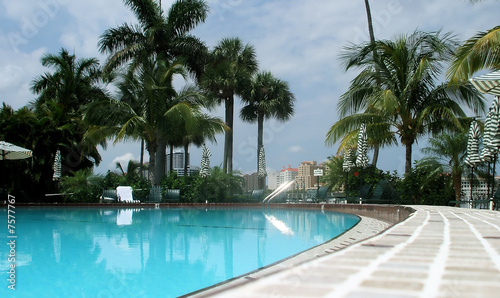 Elegant Tropical Outdoor Swimming Pool, Palm Beach