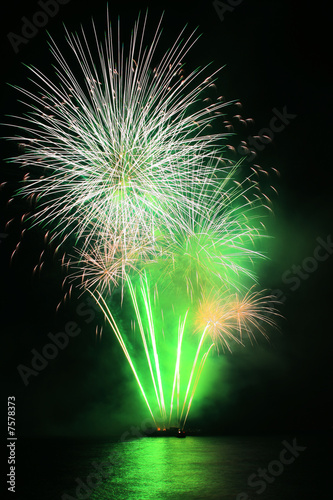 green dandelion fireworks