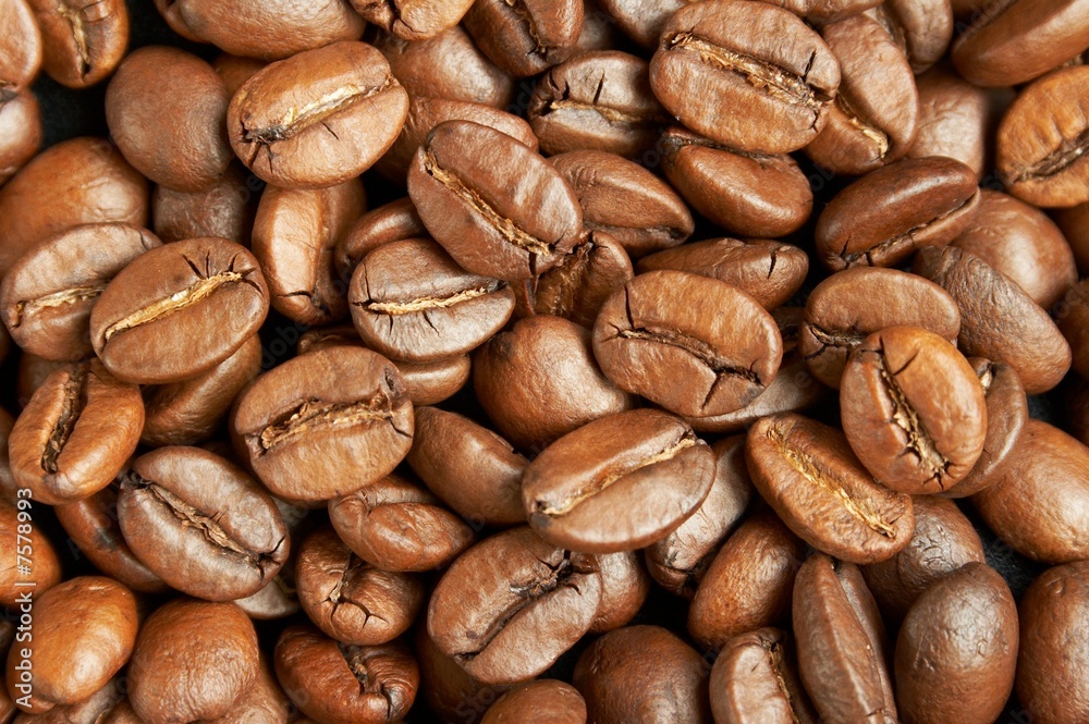 Fototapeta premium Coffee beans