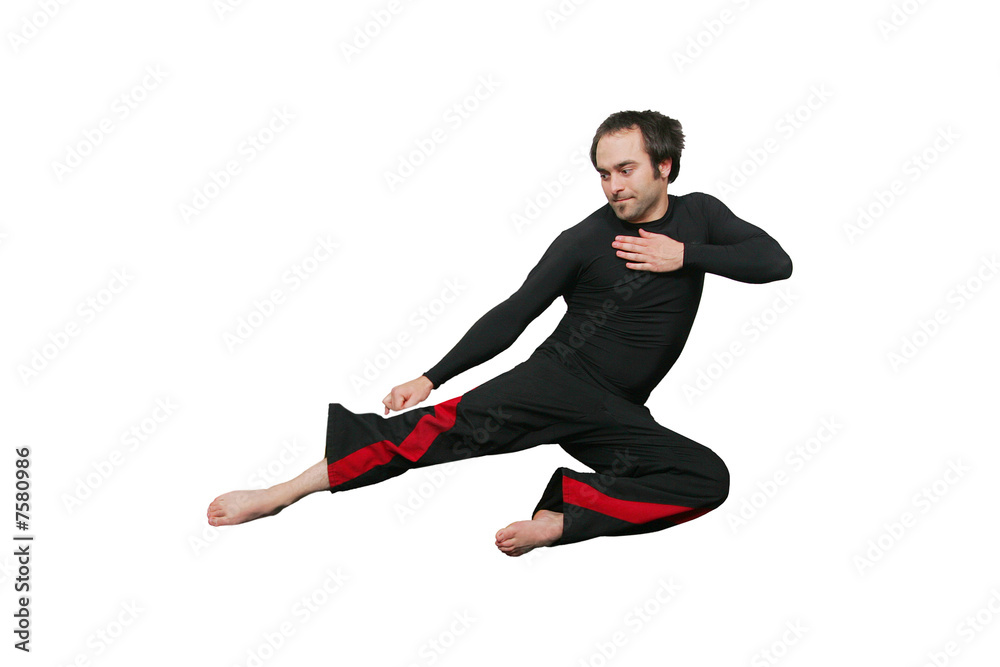 jumping martial artist jumping martial artist