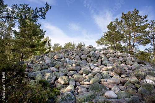 Viking Grave