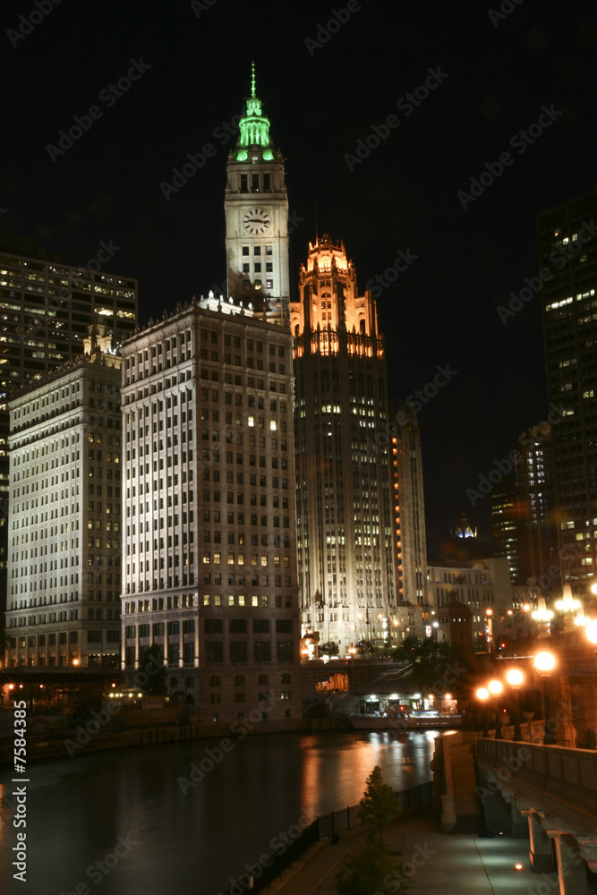 Chicago River at Night, Vertical View