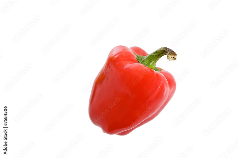 Poivron