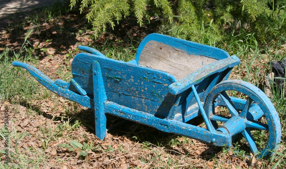 Fototapeta premium la brouette bleue