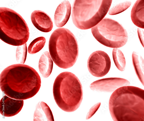 Blut 