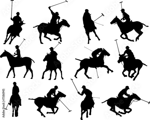 Polo silhouettes