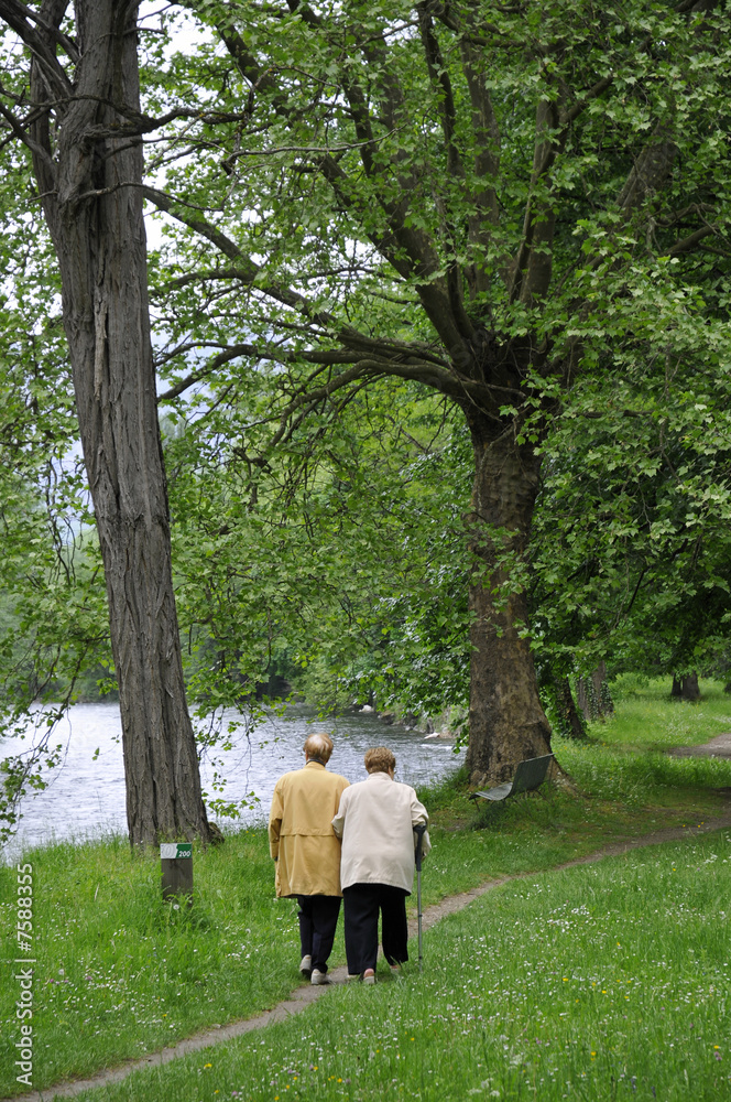 walking in the park walking in the park