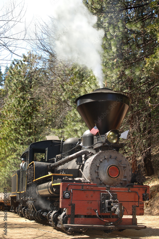 Naklejka premium Locomotive Vertical