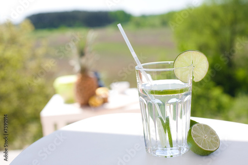 gin and tonic