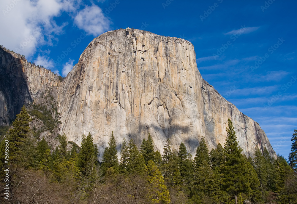 El Capitan in Yosemite National Park California El Capitan in Yosemite National Park California