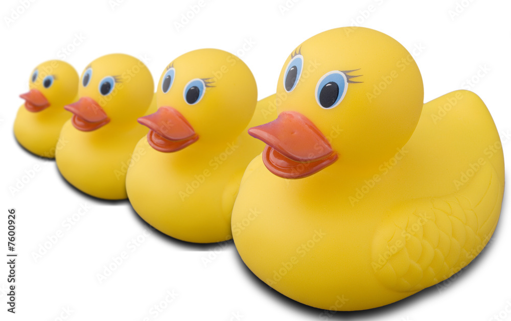 This is a stock photograph of A rubber duck This is a stock photograph of A rubber duck