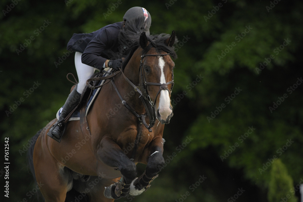 Obraz premium style jump