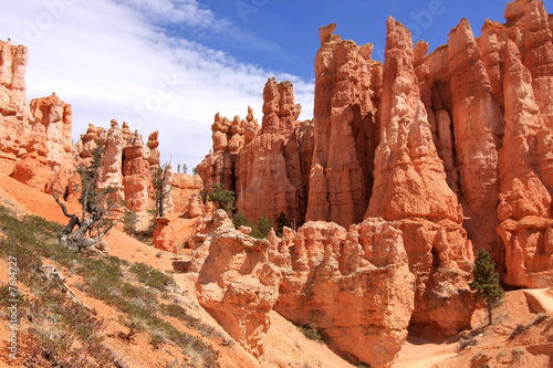 Red rocks in Bryce Canyon