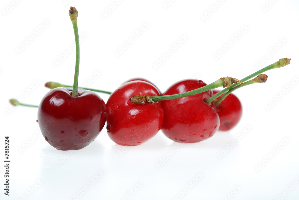 Sour Cherry Sour Cherry