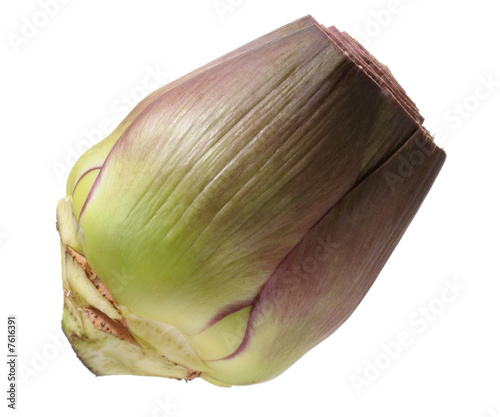 artichoke photo