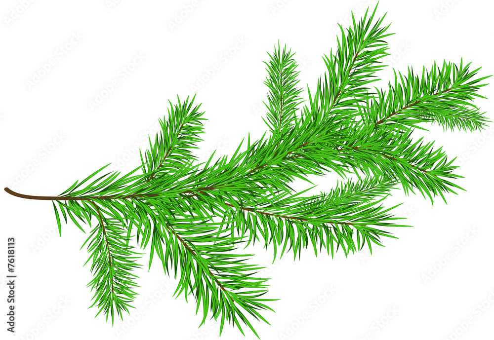 branch branch