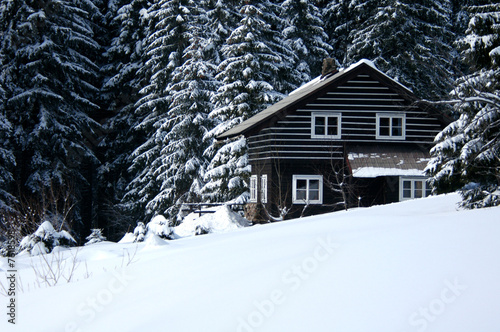 Ski Resort Refuge