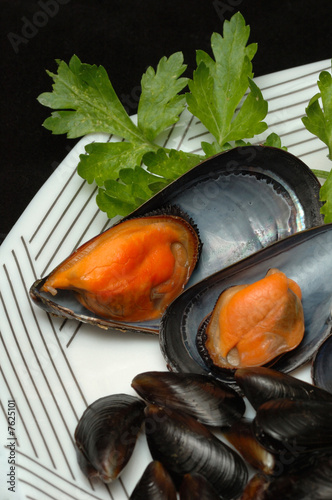 Mussels