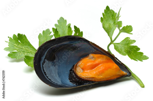 Mussels