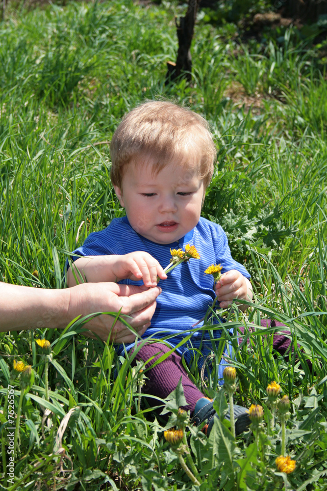 Child with the dandelion