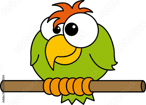 Silly Bird