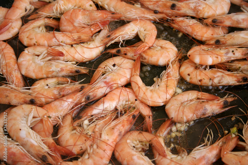 prawns prawns