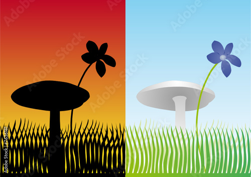 Fungo e fiore