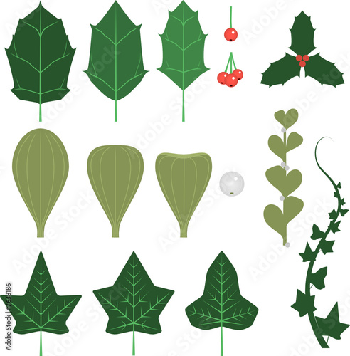 Vector holiday leaves and sprigs