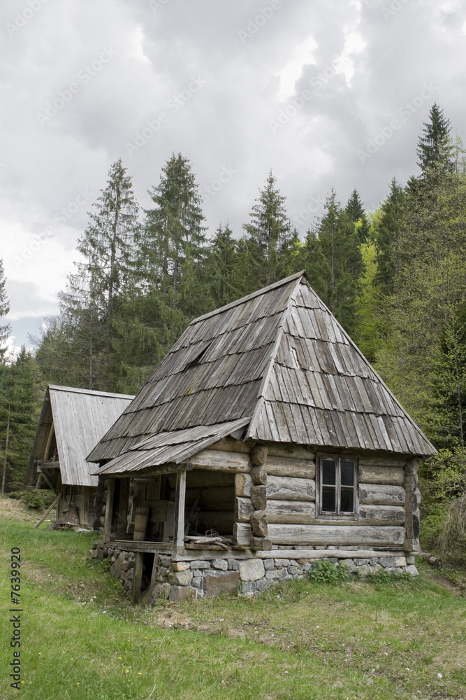 old log cabin in forest