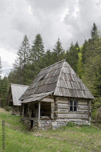 old log cabin in forest