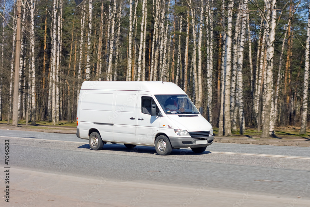 blank van drives near forest