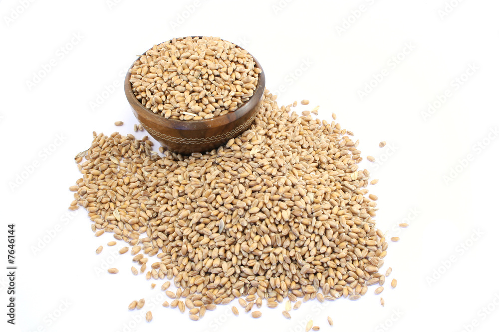 wheat wheat