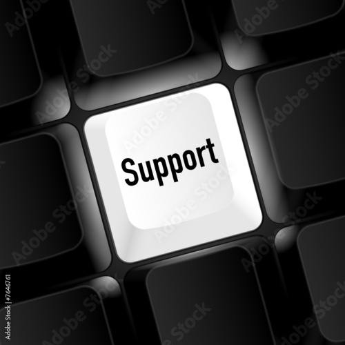 taste support