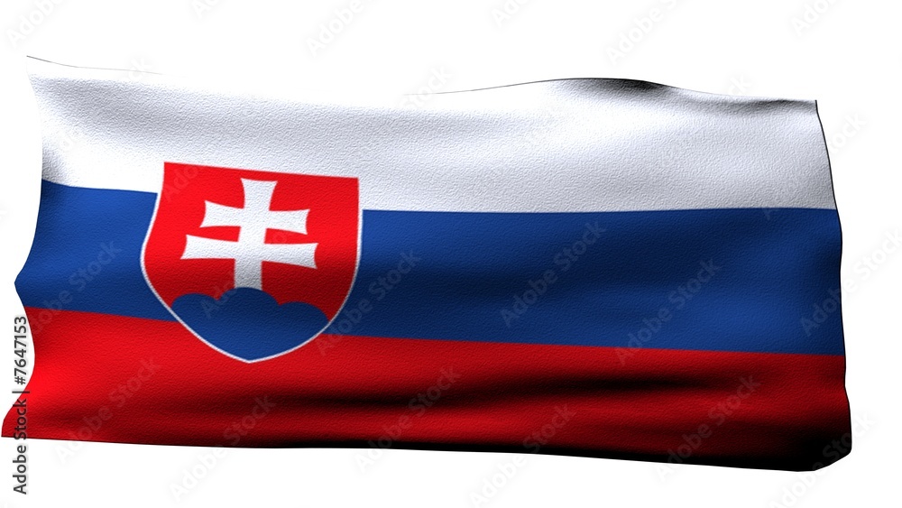 Slovakia Flag bg