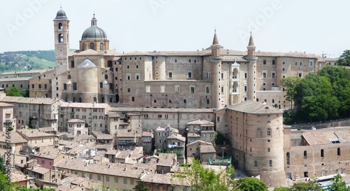 urbino 4 photo