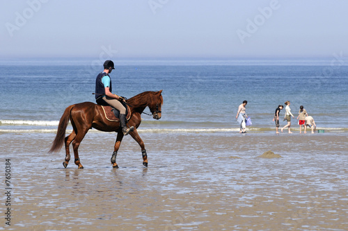 cavalier sur la plage