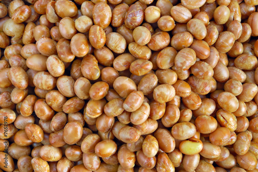 Soybean Background Soybean Background