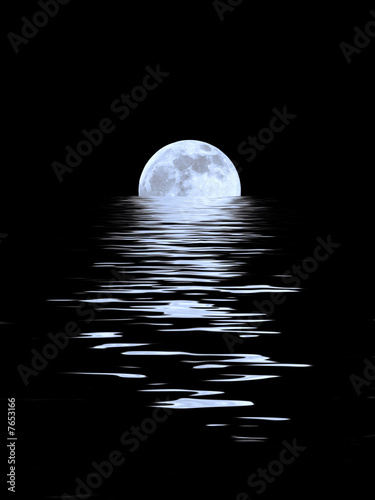 Blue Moonlight Beauty