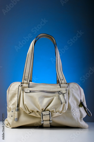 Women handbag