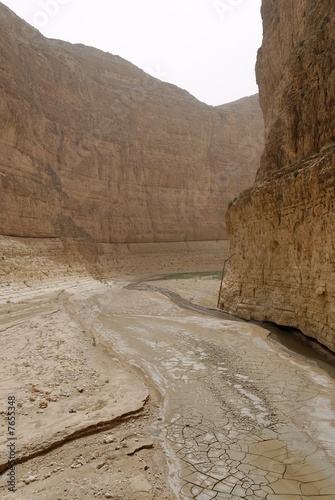 Gorges de Selja - Tunisie - Metlaoui photo