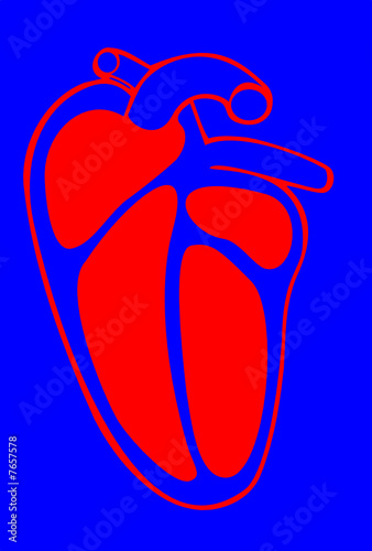 Red heart with blue backround