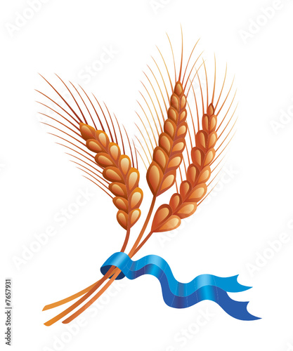 3 ears of wheat made using simple gradients