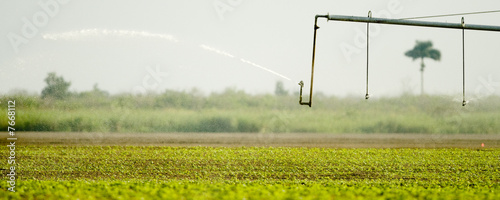 Sprinkler
